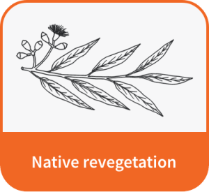 Native revegetation project type