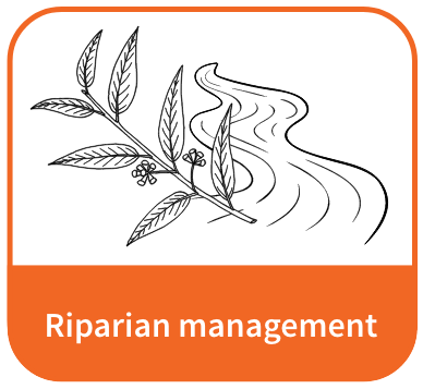 Riparian-mgmt
