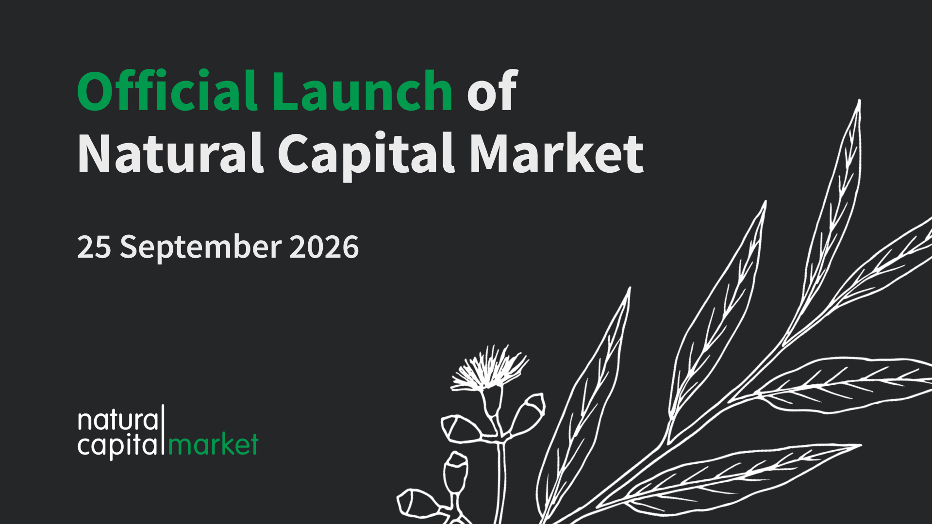 Official Launch of Natural Capital Market