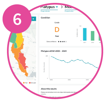 Natural Capital Impact - Step 6: Review and publish